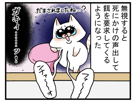 小賢しいデブ認定猫3