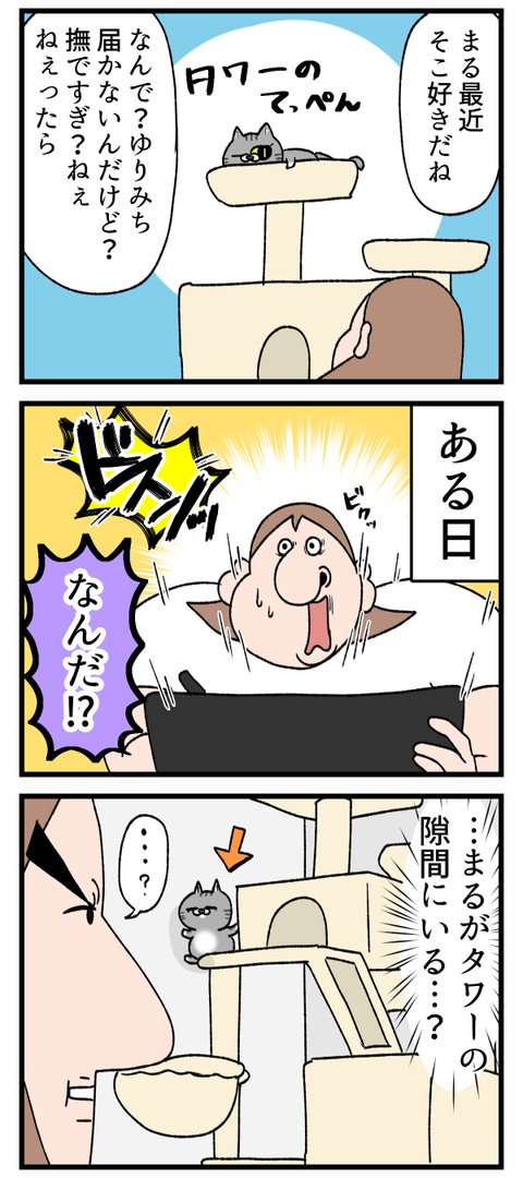 猫だけど高いところ禁止にしようかな