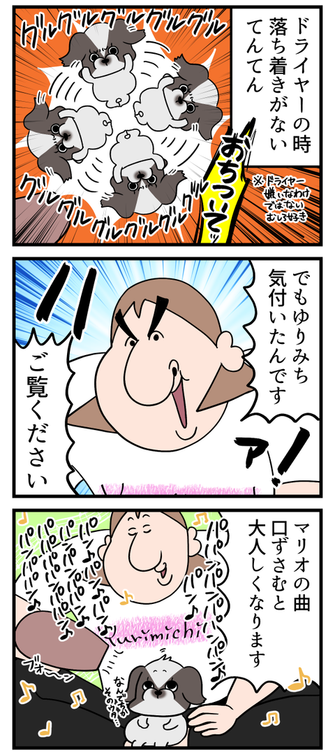 我が家の犬がドライヤー時大人しくなる方法