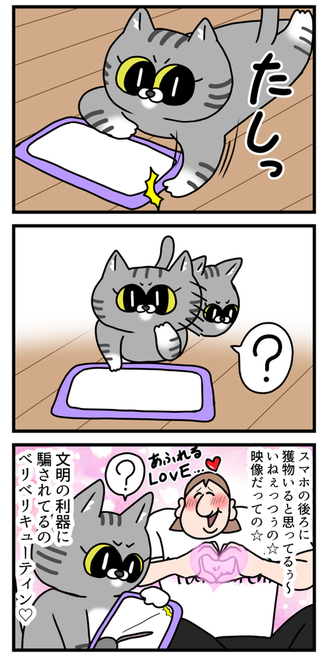 文明の利器に触れる猫ちゃん可愛い2
