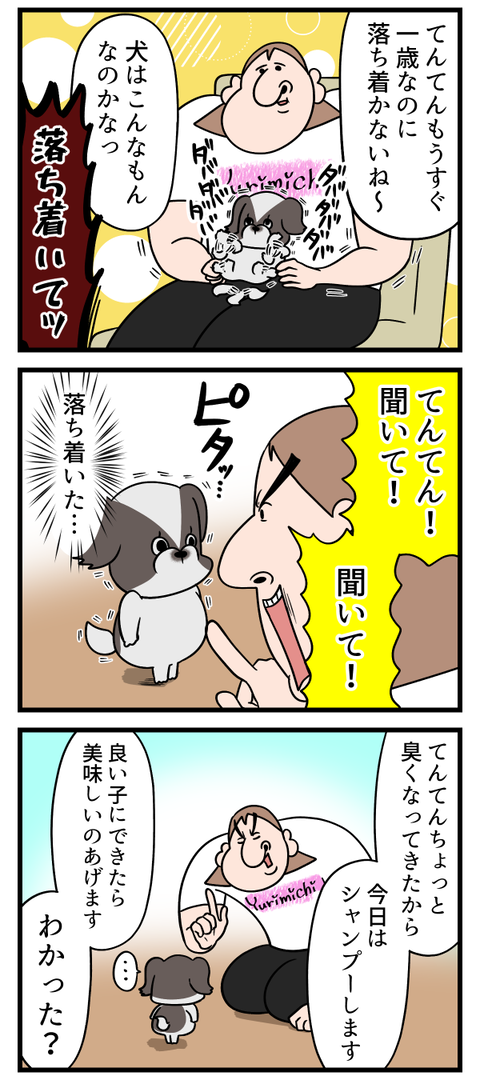 クソガキ犬