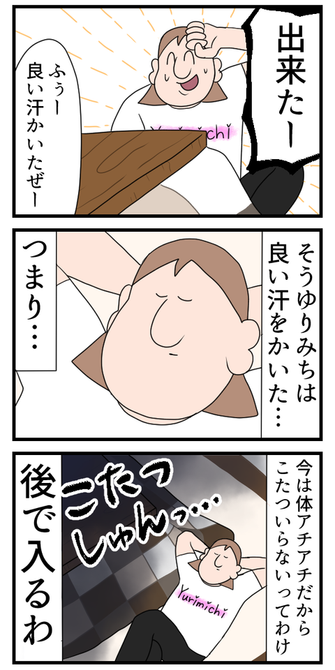 寒いからこたつ出したんだけどさ2