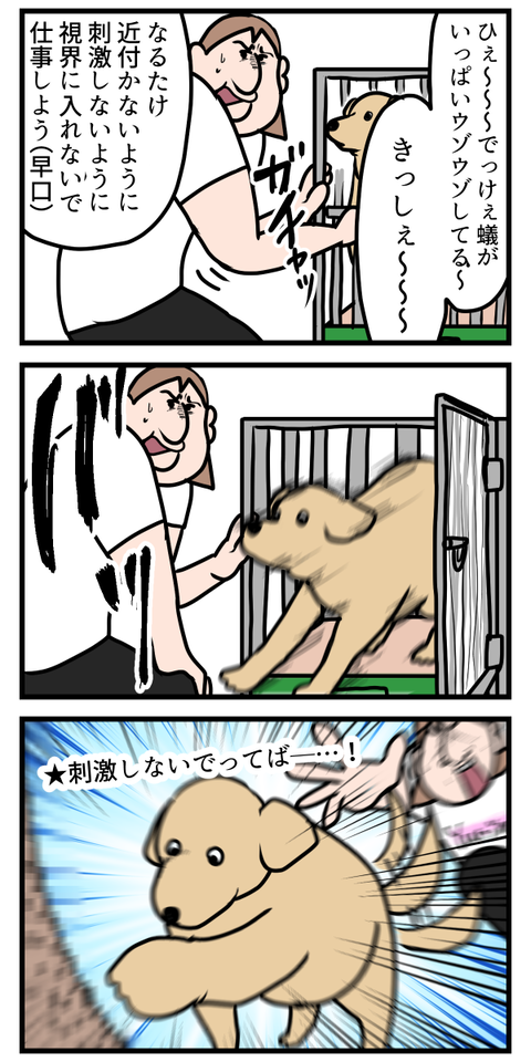 集合体恐怖症にとってアリさんは仲良くなれない存在2