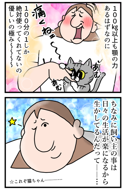 猫ちゃんの優しさで今日も生きてる2
