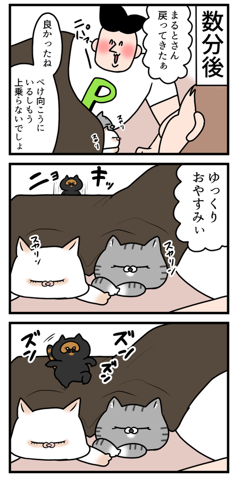 仲間に入りたいならやり方間違えてる猫2