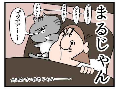 うちの猫、前田敦子2