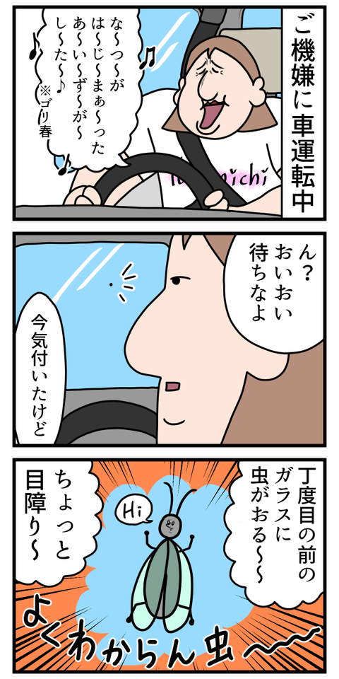自分が馬鹿なのかガラスが綺麗すぎたのか