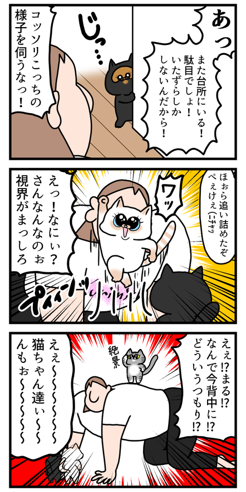 猫ちゃんに弄ばれた気分