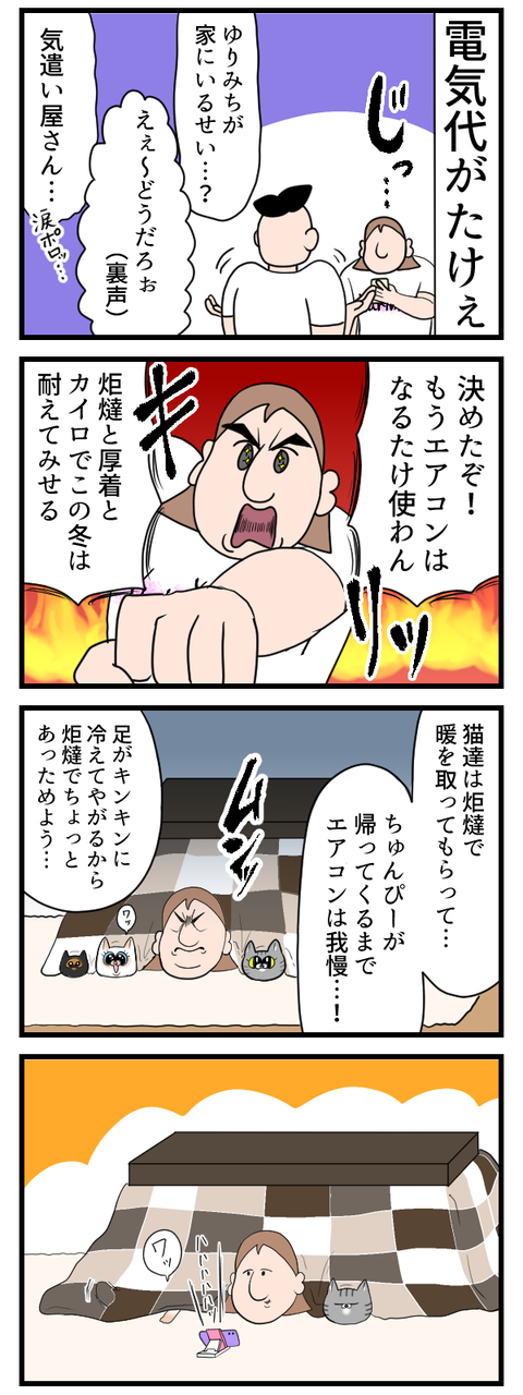 電気代が高いから節約しようとしたらさ