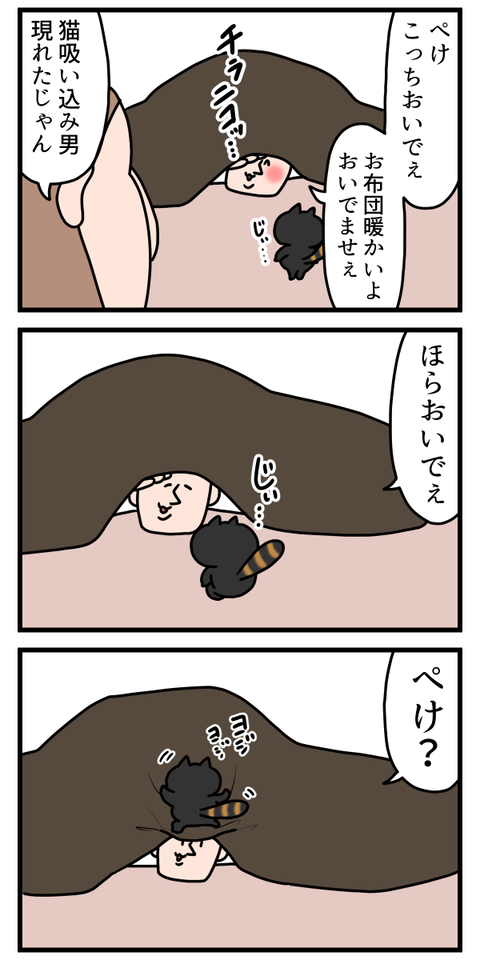 猫に手玉に取られる男