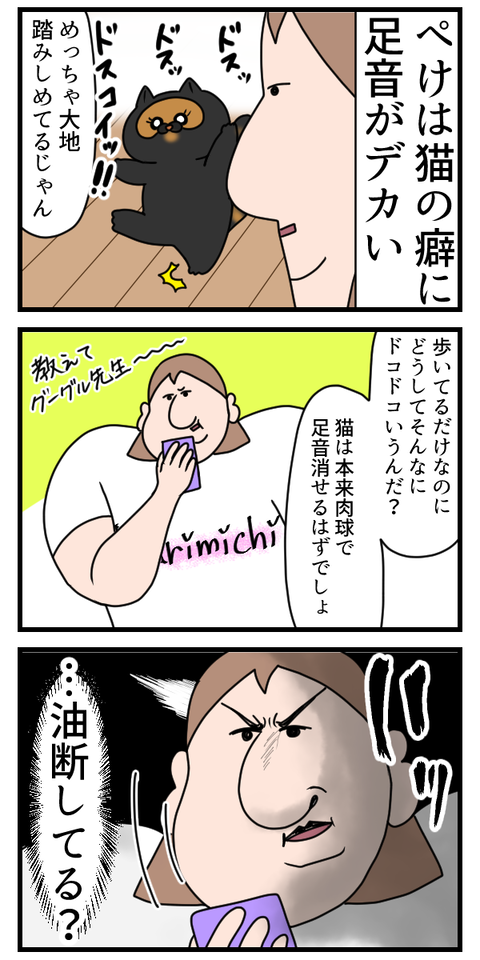 大地を踏みしめて歩く猫