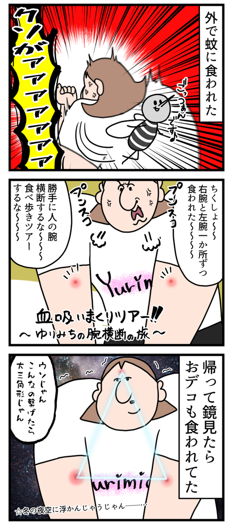 おもしれー蚊