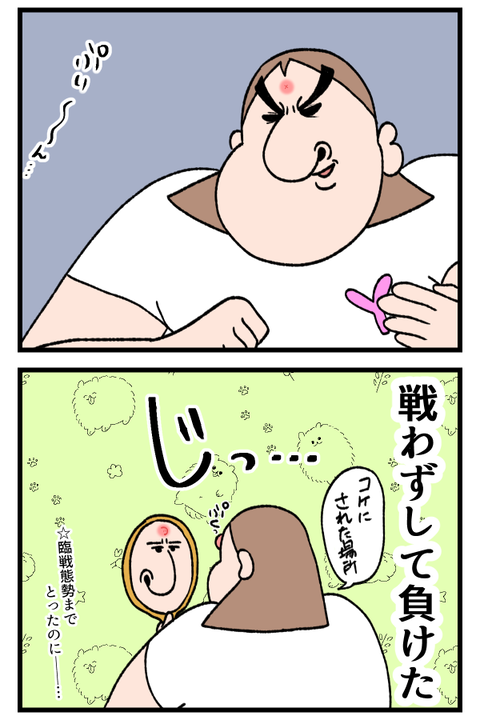 蚊とバトりました2