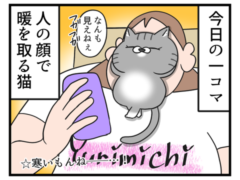 暖取り猫