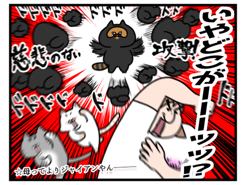 猫ちゃんって柄で性格分かるらしいね！！！！3