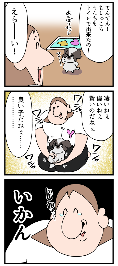 犬が良い子過ぎて起こる事