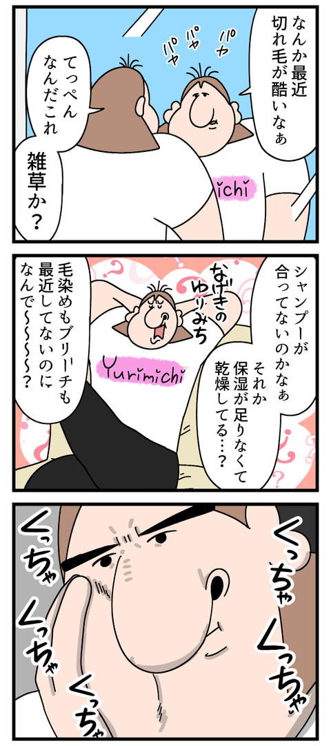 切れ毛で頭パヤパヤ