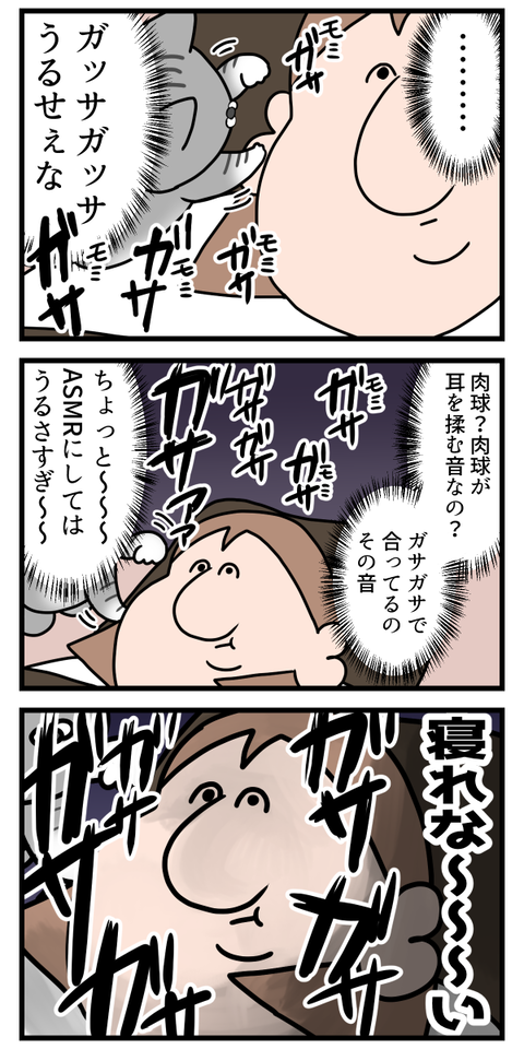 猫の肉球の音聞いたことある？2