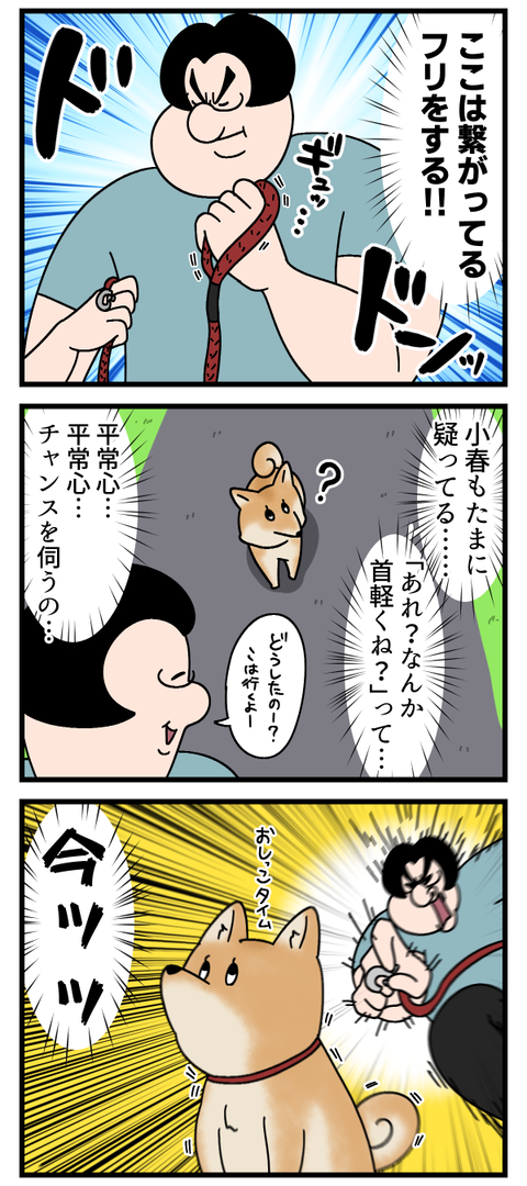 人間と犬の心理戦2