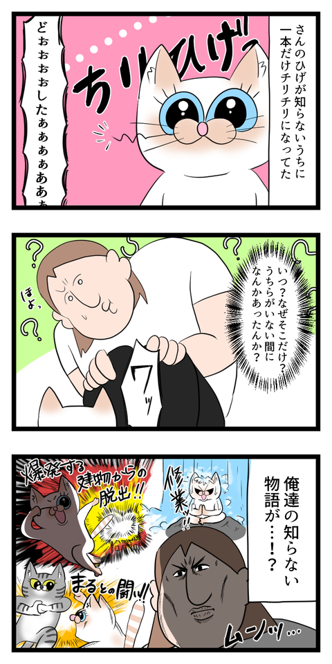 俺達の知らない物語