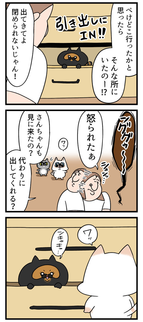 臭いものには蓋をするみたいな