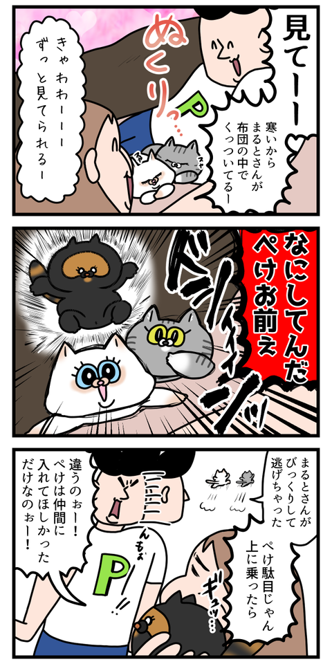 仲間に入りたいならやり方間違えてる猫