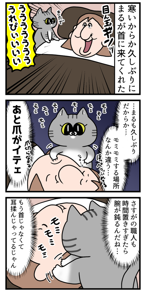 猫の肉球の音聞いたことある？