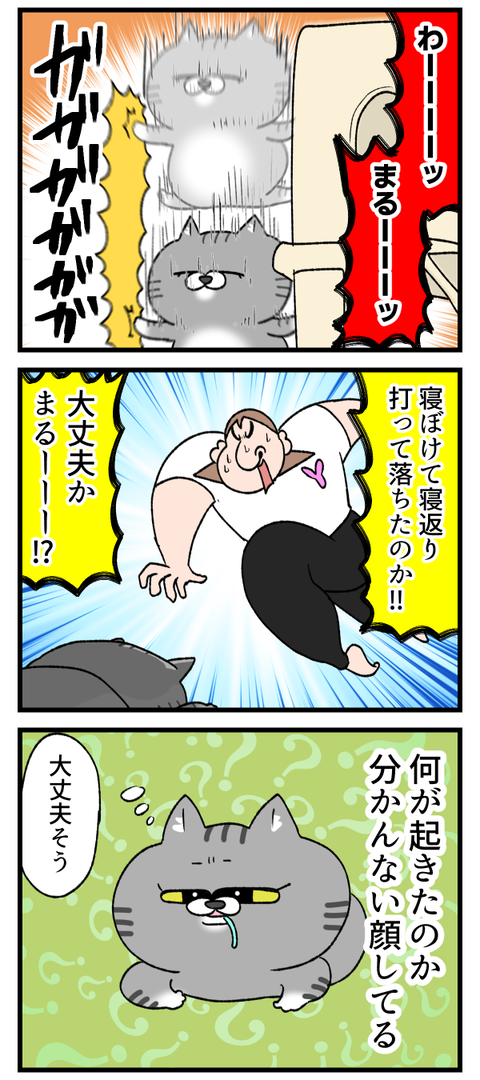 猫だけど高いところ禁止にしようかな2