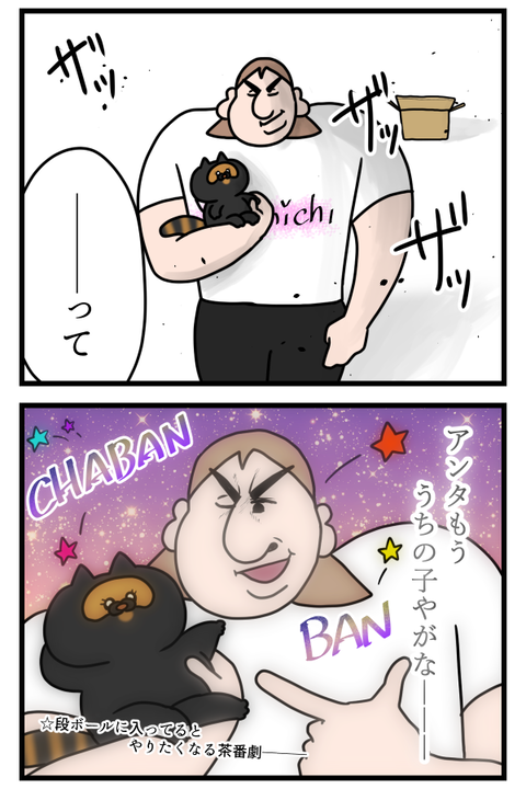 猫飼いがよくやると思う茶番NO.2 2