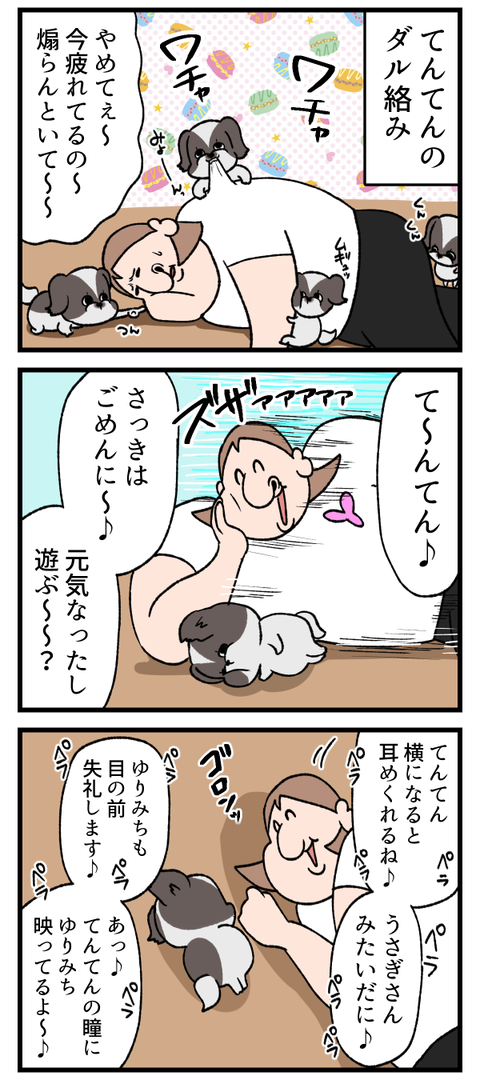 犬と人間のダル絡み