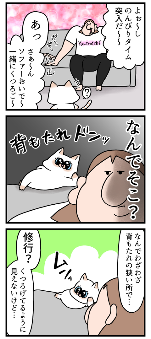 くつろぎたいのか修行してるのか