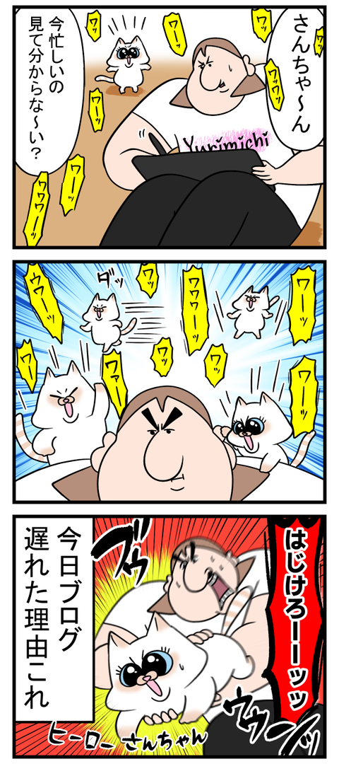 おしゃべりが過ぎる猫ちゃん