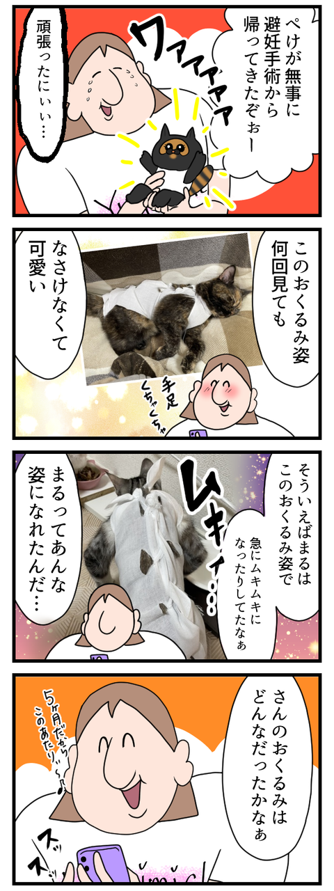 ぺけが避妊手術を無事終わらせたよ