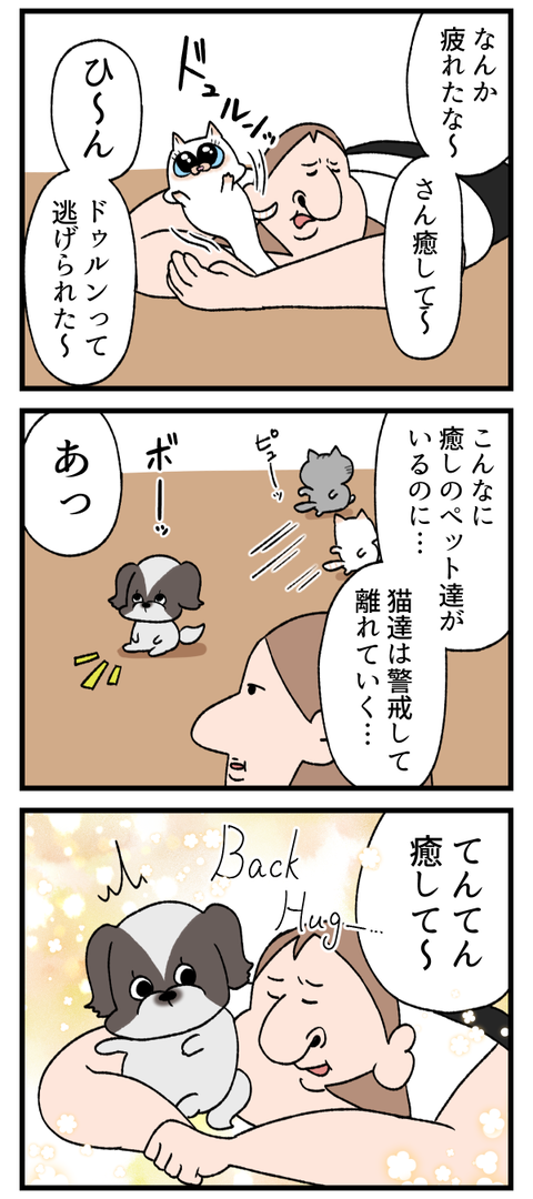 ペットから癒しを