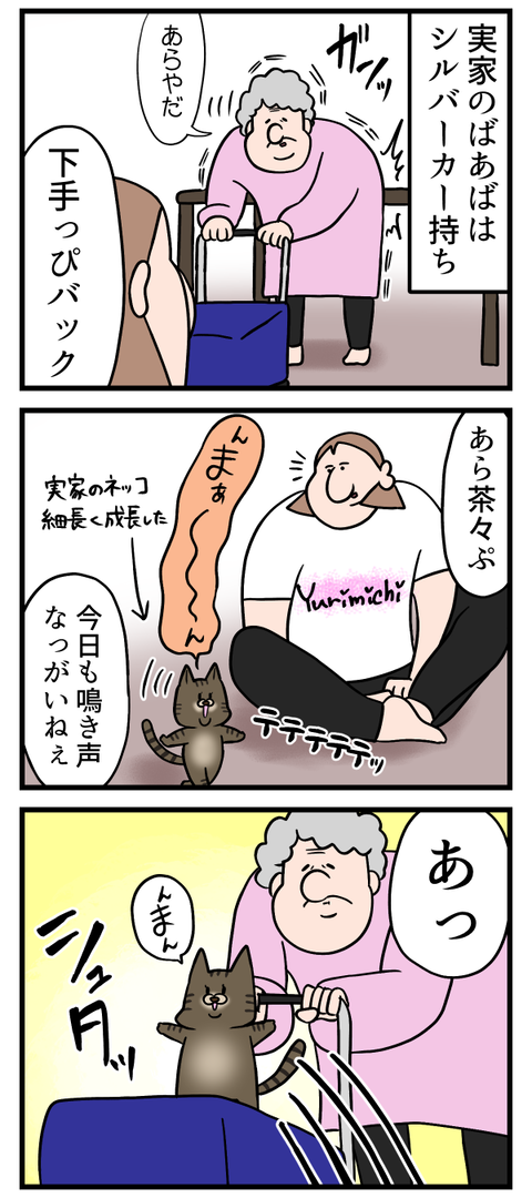 楽を覚える猫