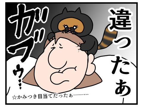 猫ちゃんに期待してはいけない2