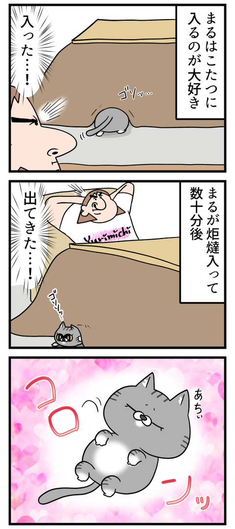 最近の猫ちゃんの炬燵の楽しみ方