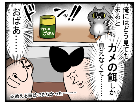 似ても似つかないものと見間違えられてた猫2