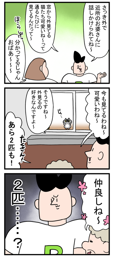 似ても似つかないものと見間違えられてた猫