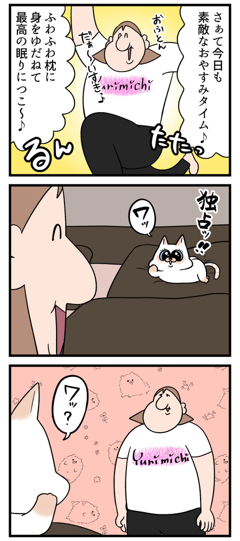 猫と一緒に仲良く睡眠♪