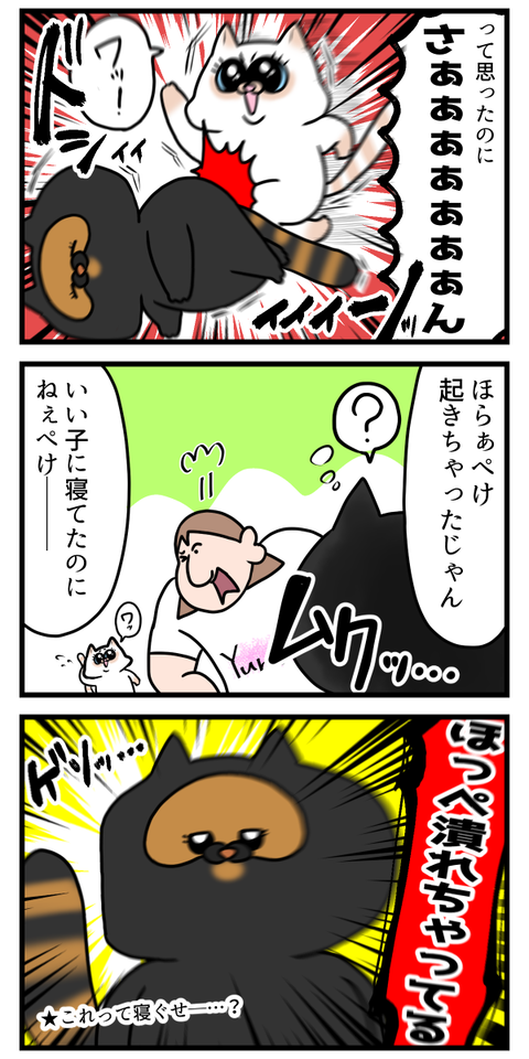 癖が強すぎる猫ちゃんの寝ぐせ2