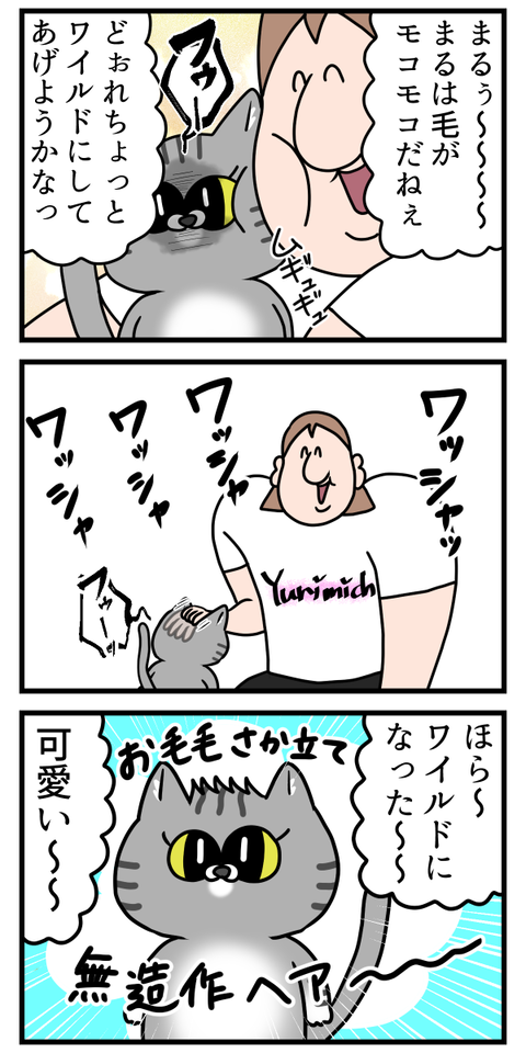 猫ちゃんを簡単にワイルドにする方法