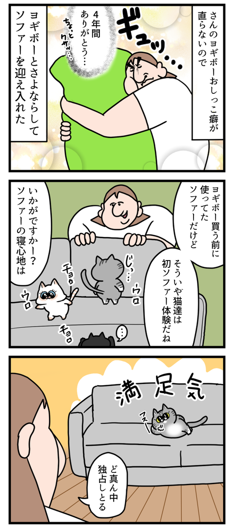 猫ちゃん達、ソファー初体験