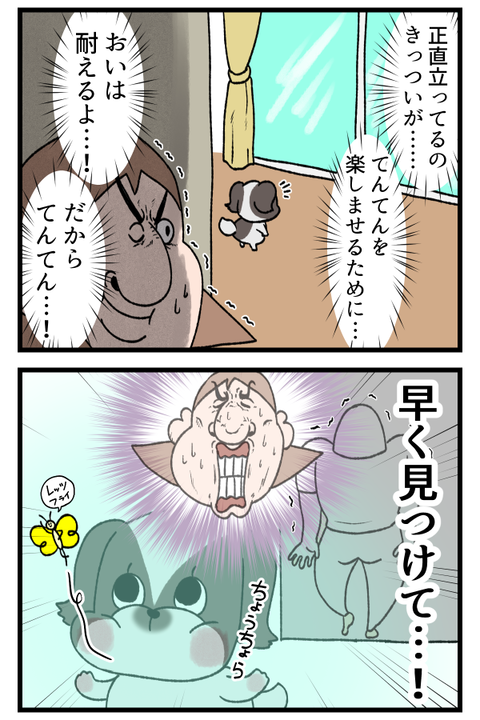 愛犬ちゃんとかくれんぼ♡2