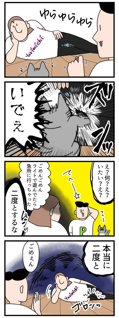 人の急所を猫に攻撃させるな