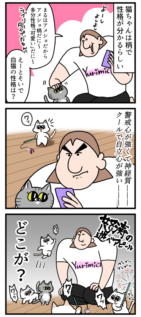 猫ちゃんって柄で性格分かるらしいね！！！！