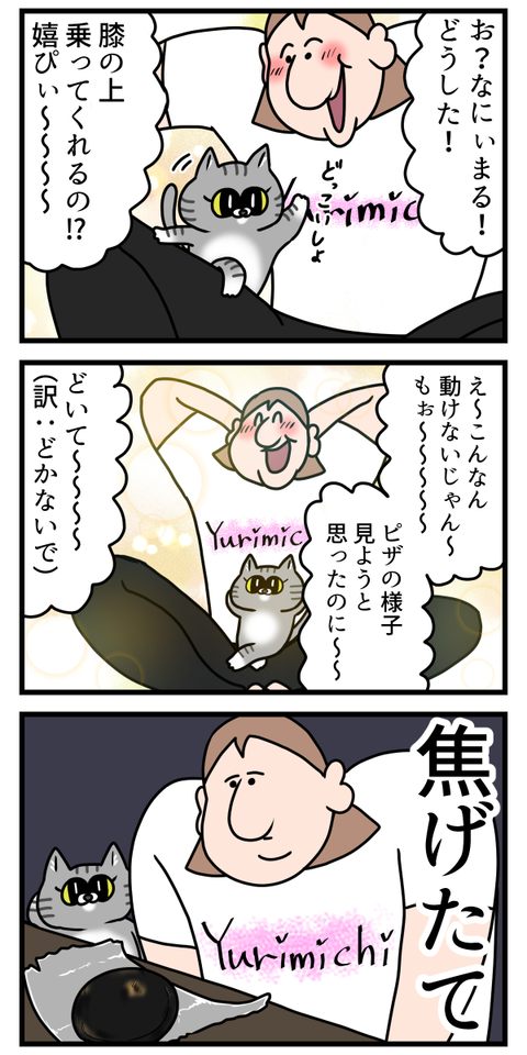 猫飼ってる人間の一番のあるある2