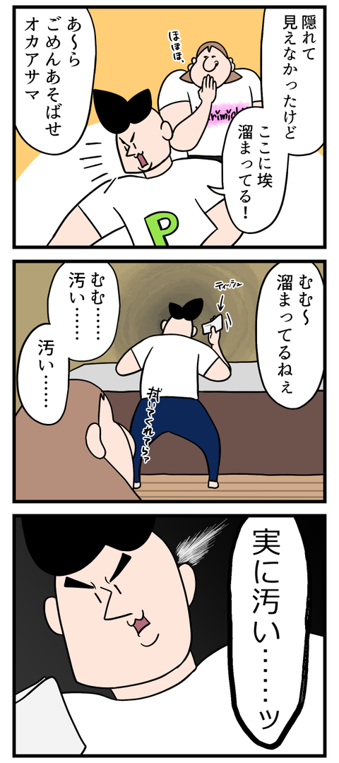 お掃除ちょっとサボててごめん