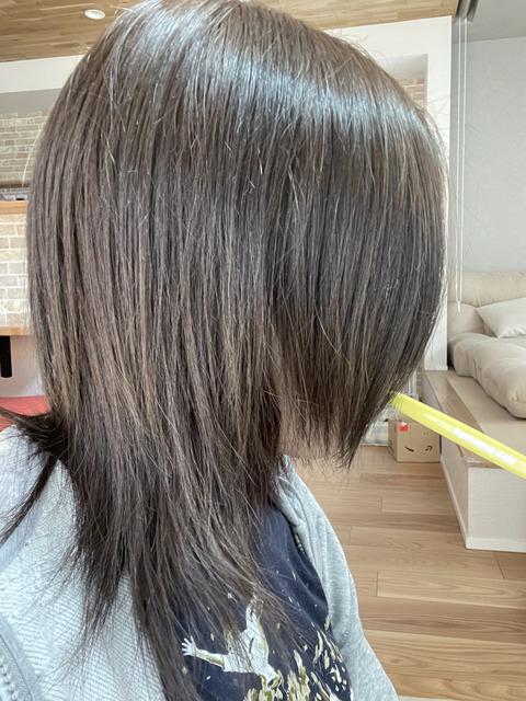 a440e8e4