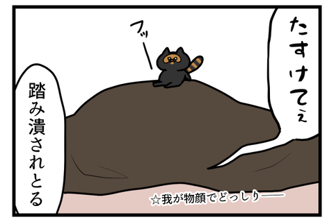 猫に手玉に取られる男2